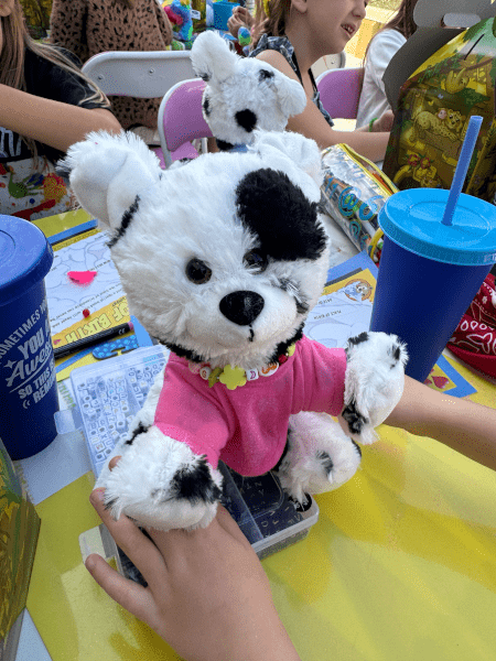 Stuff Me Like A Teddy Bear